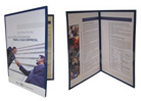 Revistas